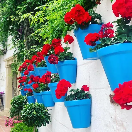 Maria Sotogrande -san Roque Golf-gibraltar Bed & Breakfast San Roque (Andalucia)