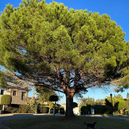 Bed & Breakfast Maria Sotogrande -san Roque Golf-gibraltar San Roque (Andalucia)